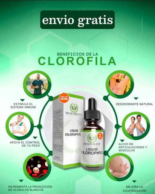 CLOROFILA BENEVOLET